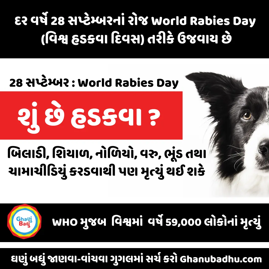 World Rabies Day : હડકવા રોગનાં ચિન્હો અને સારવાર, પ્રતિવર્ષ હડકવાથી 59000 લોકોનાં મૃત્યું થાય છે